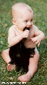 pet_and_home_ervices__43_.jpg