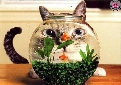 pet_and_home_services__9_.jpg